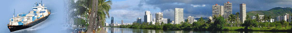 Hawaii International Movers