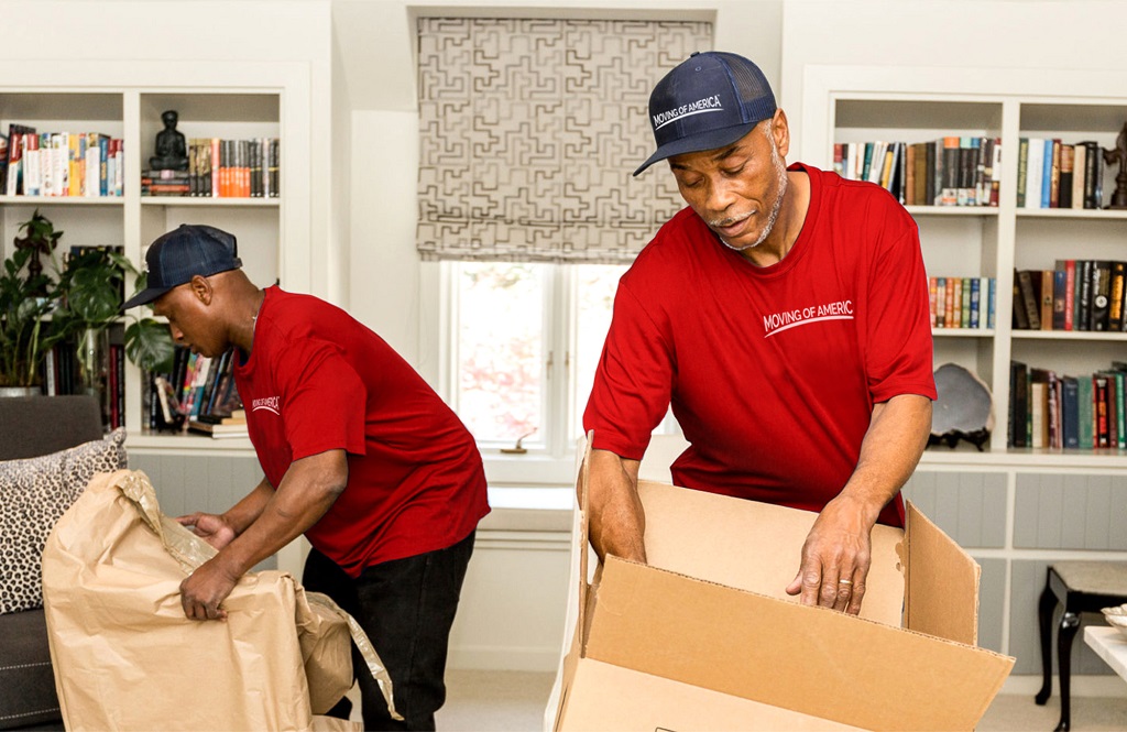 Movers 2 Guys in Living Room