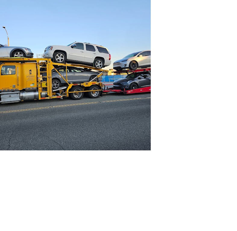 Ultimate Transport 123
