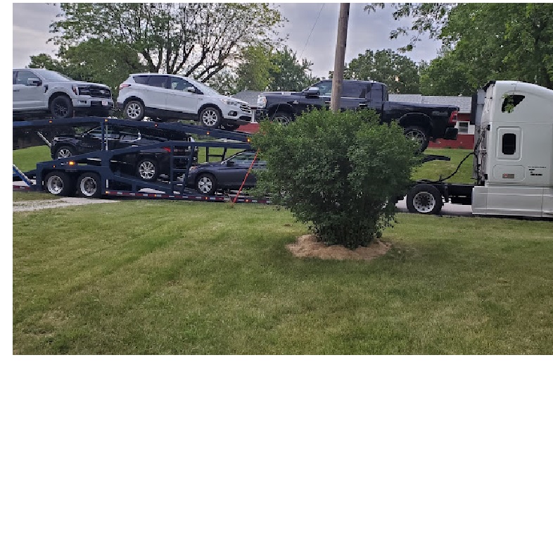 Ultimate Transport 123