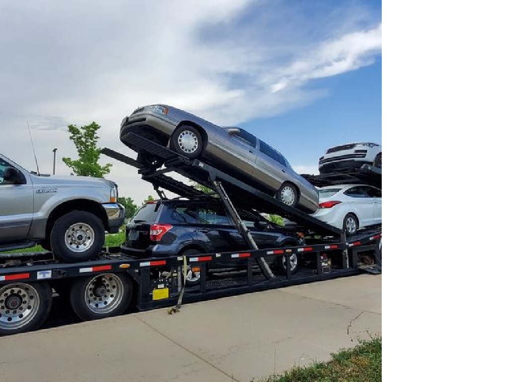 Mercury Auto Transport 