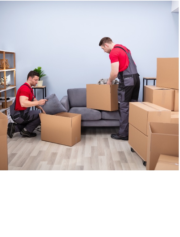 Giant Movers 365 Inc