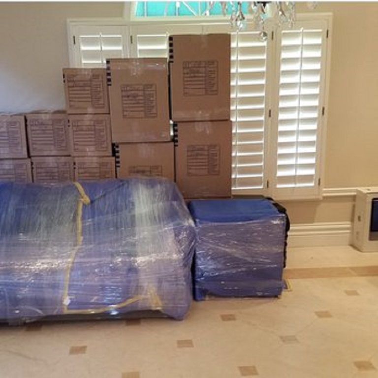 Moving Crew