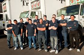 Our Team
