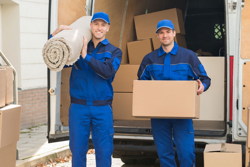 Labor Help