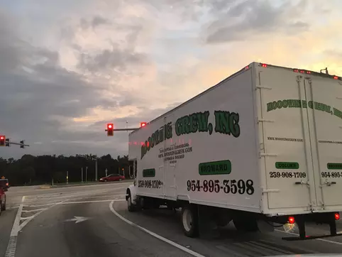 Move
