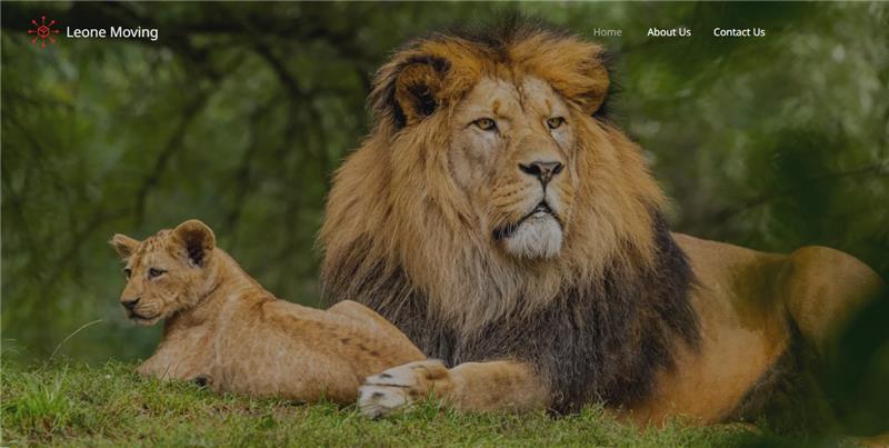 Leone