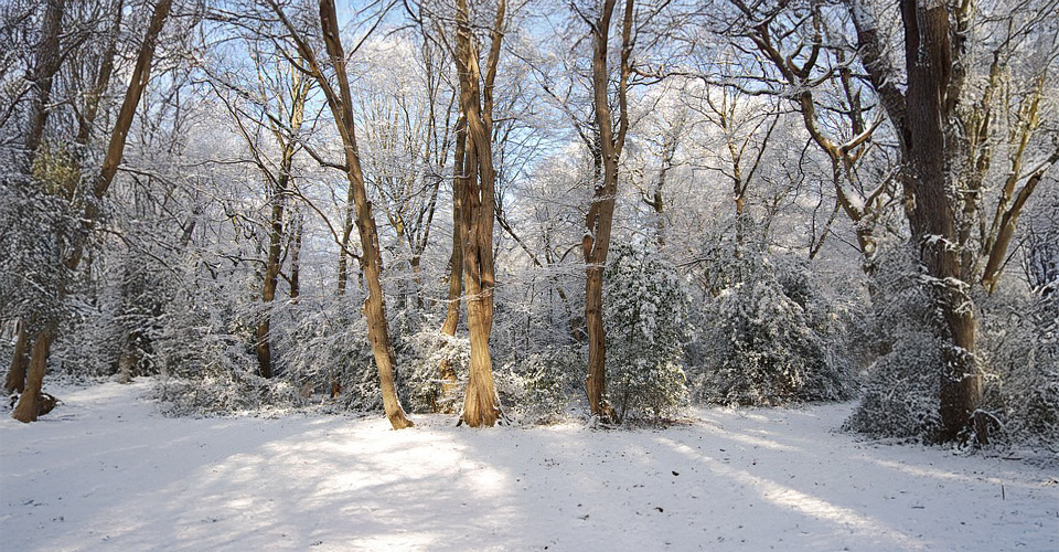 How to adjust to a new climate after a move
