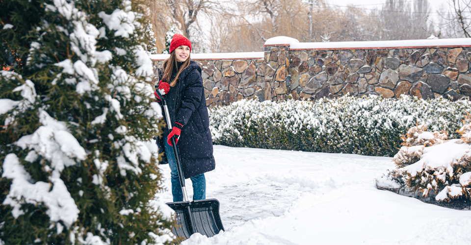 Seasonal changes in your New Town