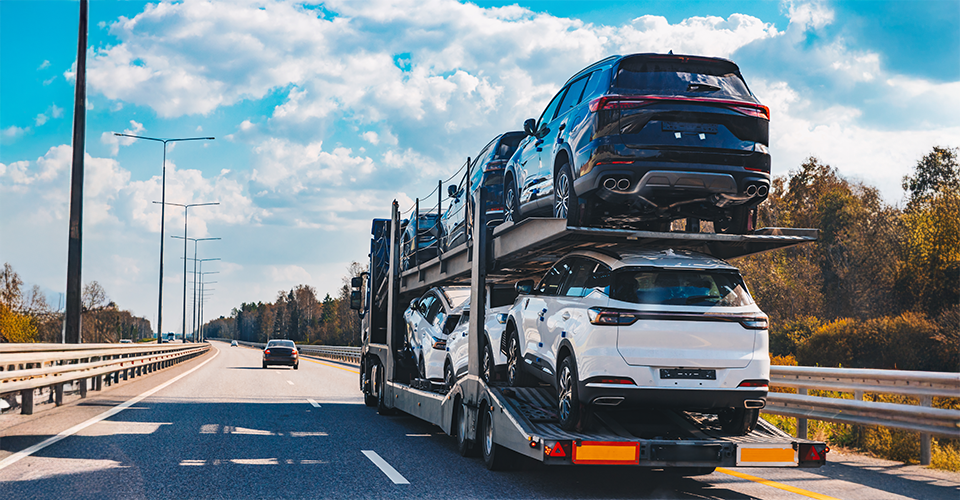 International Movers