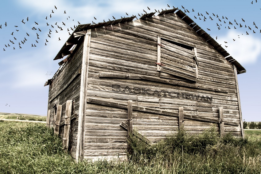 moving a shed