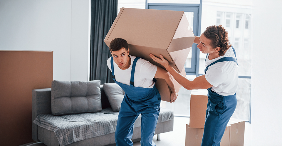 Moving to a New Home on Short Notice