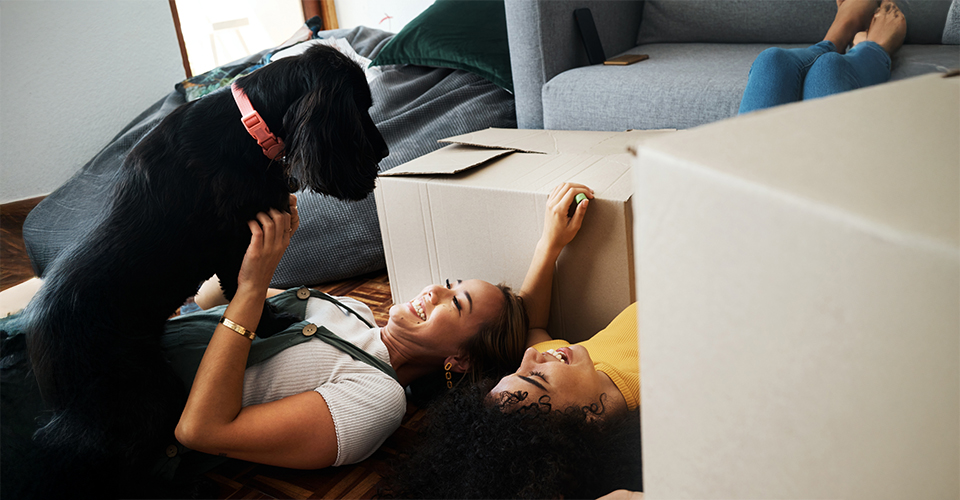/keeping-pets-happy-and-calm-during-the-move/
