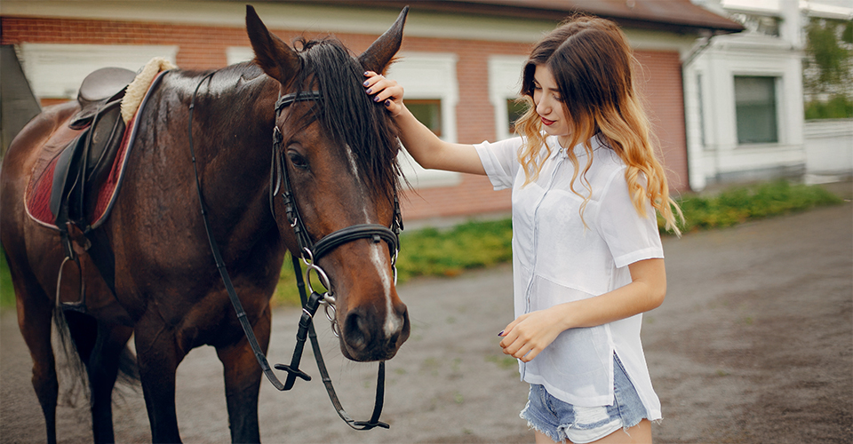 /how-to-move-with-a-horse/