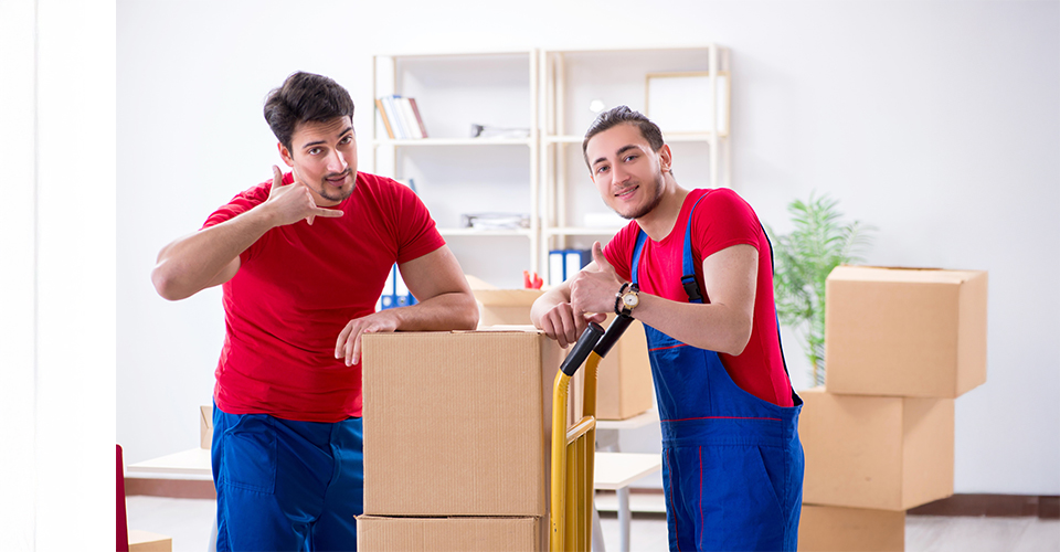 /the-different-types-of-moving-agents/