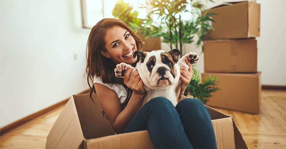 How to travel with a dog for your move