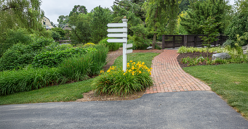 /landscaping-options-for-your-lawn-and-garden/
