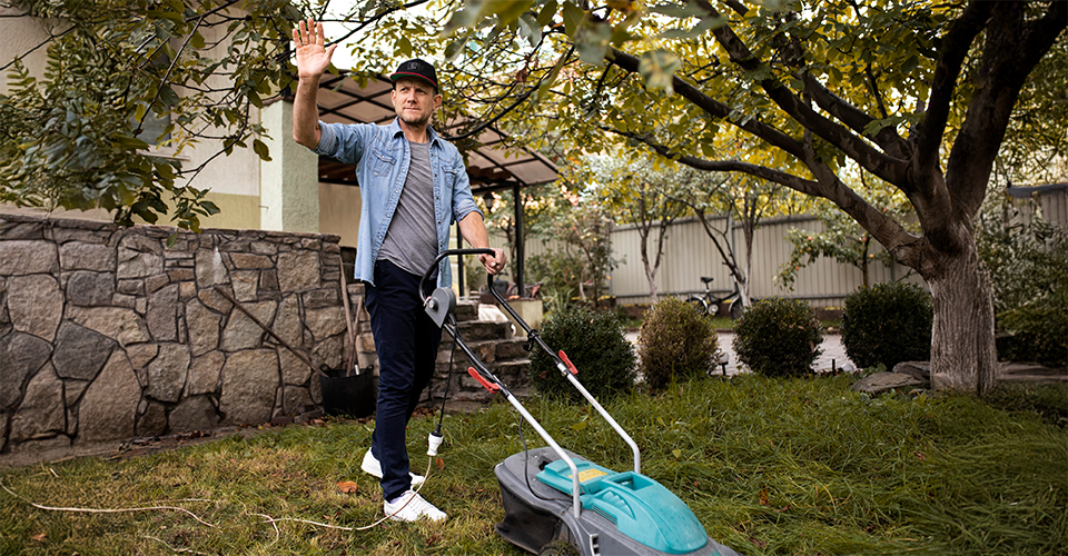 /lawn-care-tips/