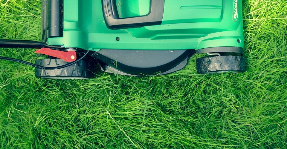 how to fertilize your lawn