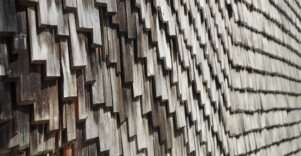 /how-to-repair-and-replace-damaged-and-missing-shingles/