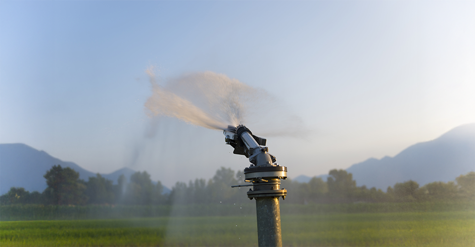 /sprinkler-system-planning-and-installation/