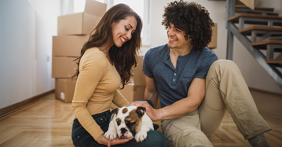 /preparing-to-move-your-pets/