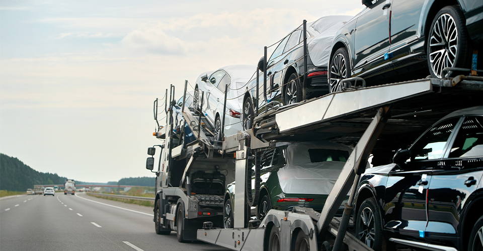 International Movers