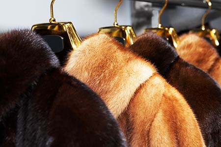 Pack and Store Fur
