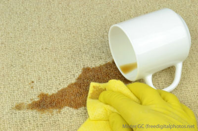 /top-10-stain-removal-tricks.html