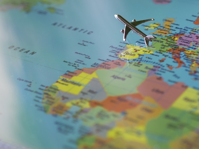 international movers