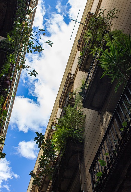 /renting-houses-condos-apartments/
