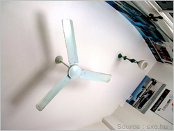 Installing a Ceiling Fan - Movers.com