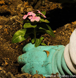 /planning-your-first-garden/