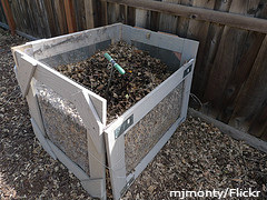 /tips-on-diy-composting/