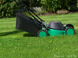 Mowing Your Lawn