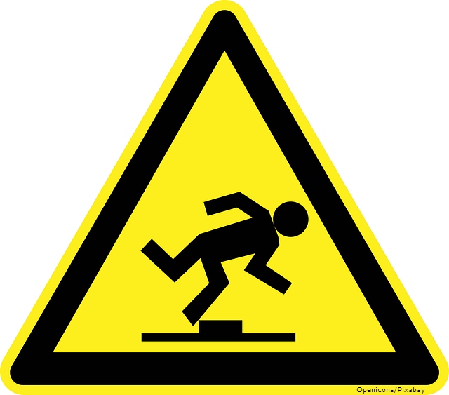 Guide Image