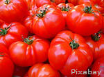 /your-first-vegetable-garden/