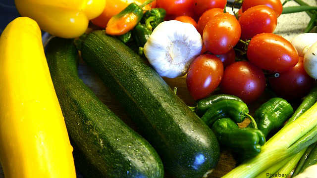 /best-crops-for-a-vegetable-garden/