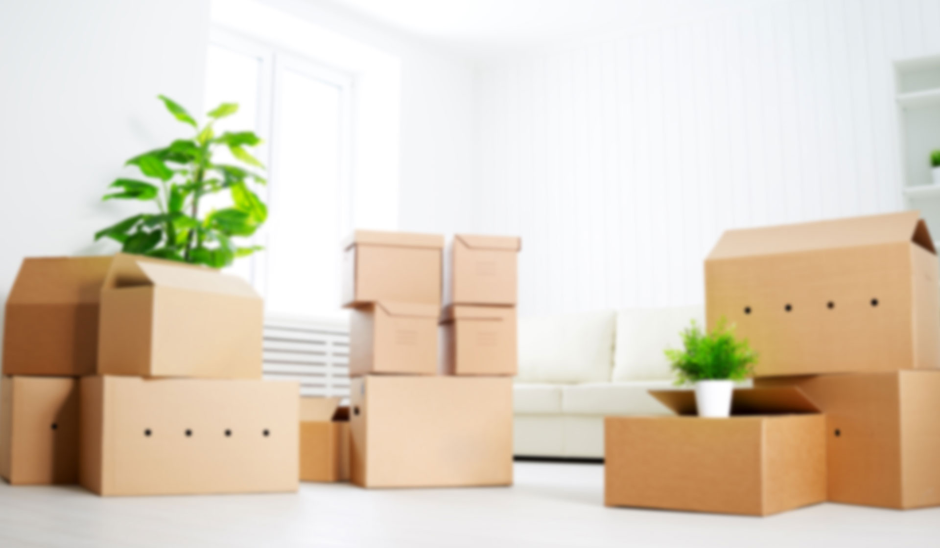 local movers