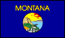 MT Flag